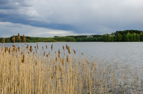 Vanduo, Gamta, On, Žalias, Ežeras, Vasara, Vaizdas