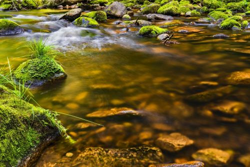 Vanduo, Upė, Gamta, Kraštovaizdis, Akmenys, Srautas, Bankas, Romantiškas, Nuotaika, Atmosfera, Vandenys, Sklandžiai, Akmenukas, Krioklys, Šlapias, Fonas, Vandens Žaidimai, Atspindys, Steinchen, Gražus, Idiliškas, Fono Paveikslėlis