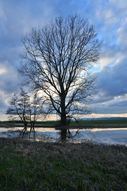 Vanduo, Kraštovaizdis, Medžiai, Gamta, Ruduo, Dangus, Abendstimmung