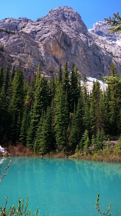 Vanduo, Gamta, Kalnas, Ežeras, Kelionė, Banff, Alberta, Kanada, Kraštovaizdis, Medžiai, Peizažas, Uolėti Kalnai, Nacionalinis Parkas