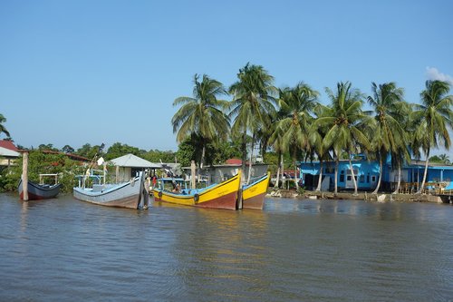 Vandens,  Valtis,  Kelionė,  Atostogos,  Tropical,  Surinamas,  Upė