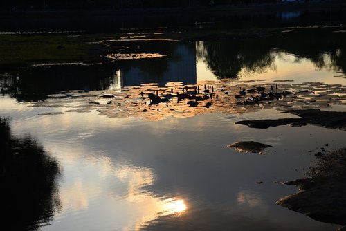 Vandens,  Lauke,  Atspindys,  Panoraminis,  Upė,  Prieblanda,  Gamta