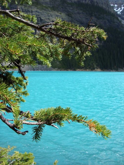 Vanduo, Mėlynas, Kanada, Kraštovaizdis, Gamta, Medžiai, Daugiau