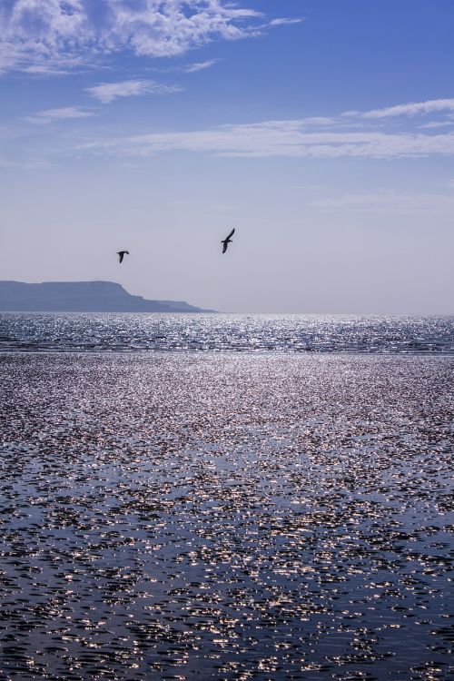 Vanduo, Paukščiai, Vandenynas, Kraštovaizdis, Vaizdingas