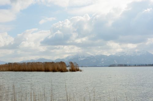 Vanduo, Ežeras, Debesys, Nendrė, Chiemsee, Kalnai, Gamta, Kraštovaizdis, Žiema