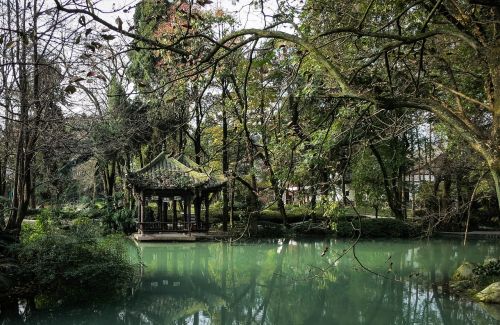 Vanduo, Medžiai, Filialai, Žalias, Gamta, Jade Paviljonas, Dujiangyan, Sichuanas, Kinija