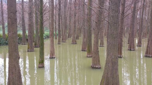 Vanduo, Ežeras, Pakraštyje