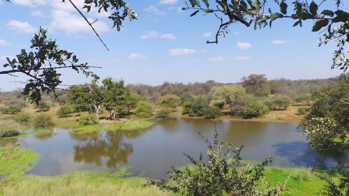 Vandens Skylė, Afrika, Limpopo
