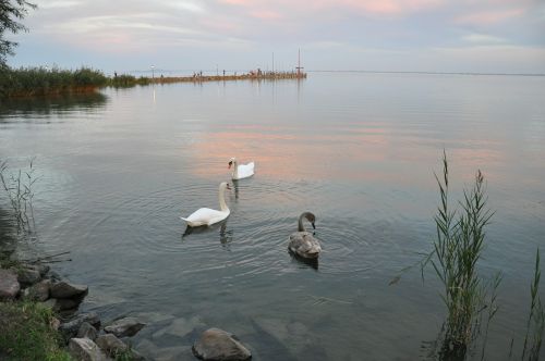 Vandens Lygis, Balaton Ežeras, Ruduo