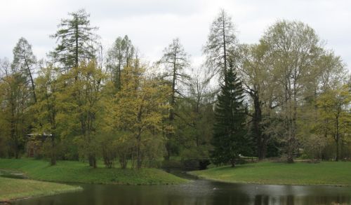 Vanduo,  Tvenkinys,  Srautai,  Žolė,  Medžiai,  Žalias,  Turtas,  Vandens Sistema Czarskoje Selo