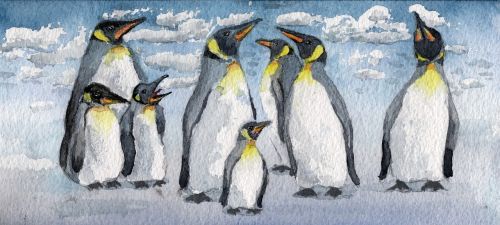 Akvarelė, Imperatoriaus Pingvinas, Paukščiai, Pingvinas