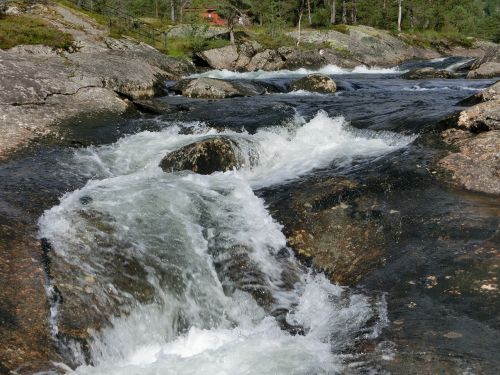 Krioklys, Heide, Gamta, Šiaurė, Norvegija, Laukiniai