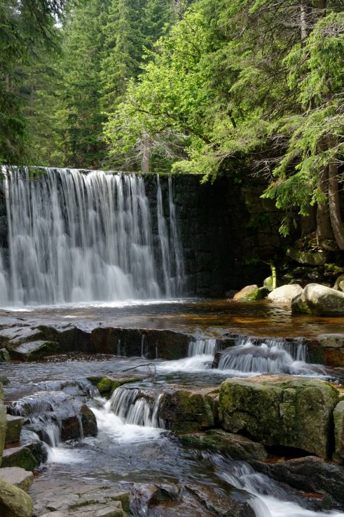 Krioklys, Vanduo, Miškas, Gamta, Srautas, Torrent