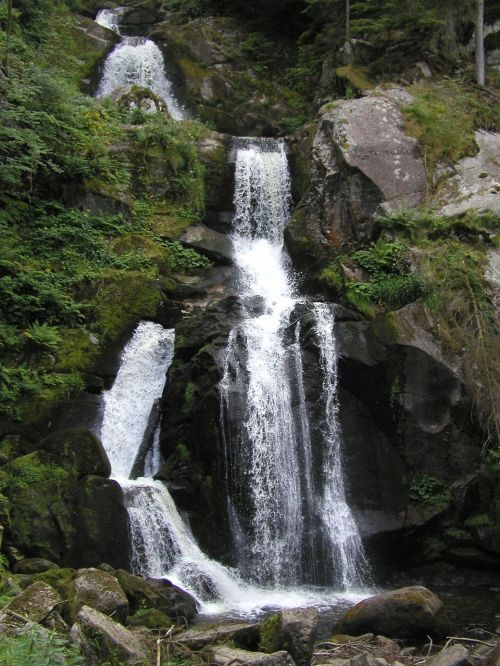 Krioklys, Triberg, Gamta, Vanduo