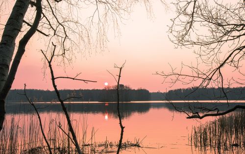 Vandenys,  Gamta,  Aušra,  Medis,  Atspindys,  Saulėlydis,  Dangus,  Be Honoraro Mokesčio