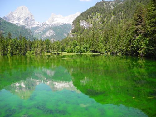 Vandenys, Ežeras, Žalias, Alpių, Kalnai, Kraštovaizdis, Austria, Veidrodis