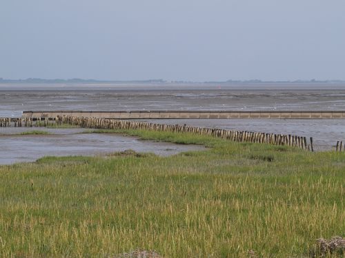 Vatai, Atsipalaiduoti, Wadden Jūra, Rytinė Frisia, Šiaurės Jūra, Potvyniai, Kranto, Dornumersielas, Horizontas, Dangus, Mėlynas, Žalias, Vanduo