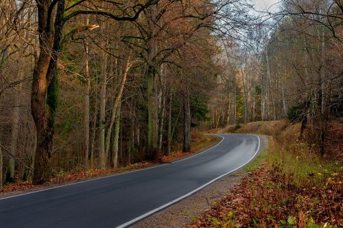 Kelias, Miškas, Medis, Asfaltas, Vaizdas, Kraštovaizdis, Warmia, Gamta