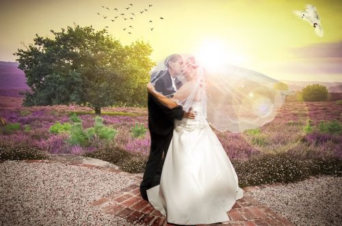 Vestuvės, Vestuvių Priimamasis, Wed, Santuoka, Romantiškas, Romantika, Gėlės