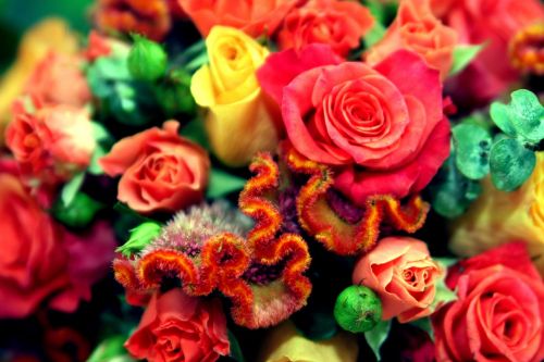 Vestuvės, Gėlės, Vestuvių Gėlės, Romantiškas, Gėlių, Romantika, Gamta