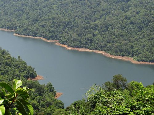 Vakarų Gatas, Šaravati Upė, Slėnis, Kalnai, Tankus Miškas, Visžalis, Miškas, Karnataka, Indija