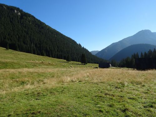 Vakarų Tatras, Kalnai, Chochołowska Slėnis, Nacionalinis Parkas, Lenkija, Gamta, Kraštovaizdis