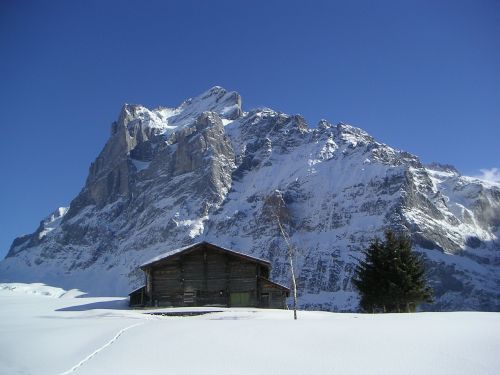 Wetterhorn, Grindelwald, Žiema, Šveicarija, Alpių, Šiaurinė Siena, Sniegas