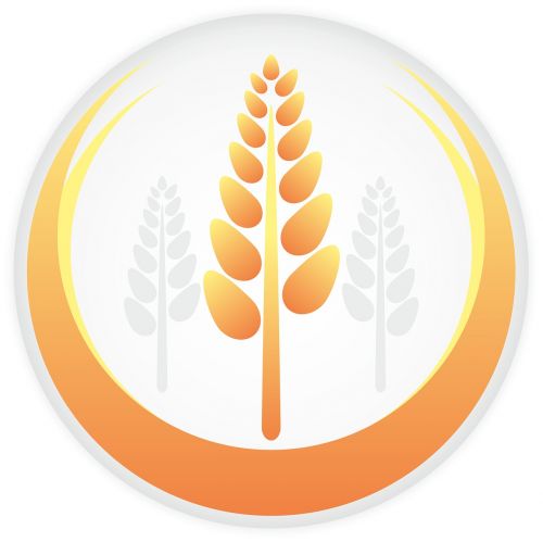 Logotipas, Grūdai, Žemdirbystė, Kukurūzai, Kvieciai, Ūkis, Laukai
