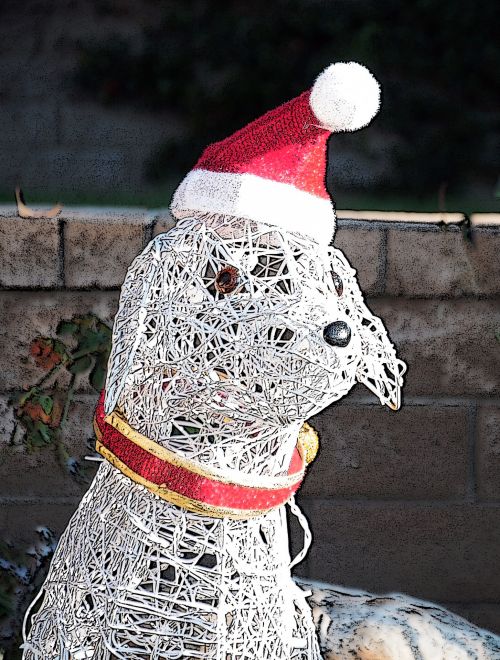 Šuo,  Kalėdos,  Xmas,  Apdaila,  Žibintai,  Tekstūra,  Modelis,  Santa,  Skrybėlę,  Balta Šuo Kalėdų Puošyba