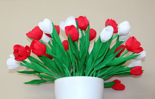 Balta - Raudona, Gėlės, 11 Lapkritis, Apdaila, Nepriklausomybės Diena, Patriotizmas