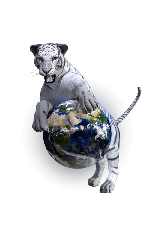 Baltasis Tigras, Tigras, Gaublys, Pasaulis, Wildcat, Baltos Bengalijos Tigras, Plėšrūnas