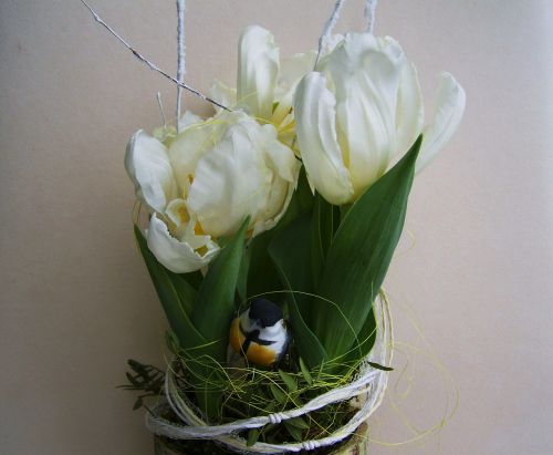 Balti Tulpės, Bulvinis Augalas, Pavasario Gėlė