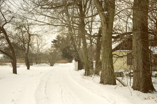 Žiema,  Medis,  Kaimas,  Namelis,  Lublin,  Kaimo Kelias Netoli Lublino