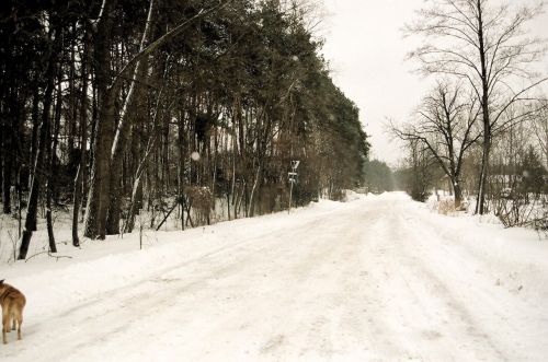 Žiema,  Medis,  Kaimas,  Namelis,  Lublin,  Kelias,  Kaimo Kelias Netoli Lublino