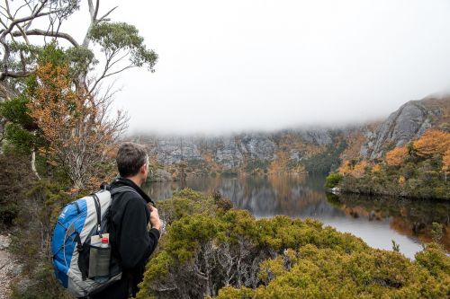 Dykuma, Kraterio Ežeras, Tasmanija, Nacionalinis Parkas, Lauke, Gamta