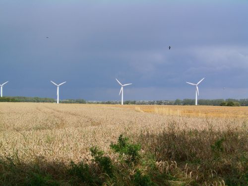 Vėjo Energija, Windräder, Vėjo Malūnas, Kranto, Šiaurinė Vokietija, Laukai