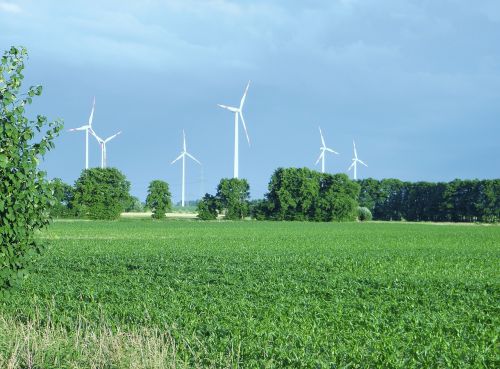 Vėjo Energija, Windräder, Energija, Aplinka, Elektros Energijos Gamyba, Dangus, Mėlynas, Kraštovaizdis, Pieva, Gamta, Bernau, Brandenburg, Vokietija