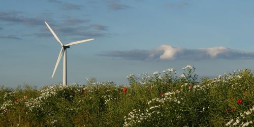 Vėjo Turbina, Kraštovaizdis, Vasara, Natūralus, Denmark