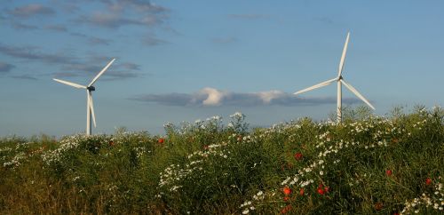 Vėjo Turbina, Kraštovaizdis, Vasara, Natūralus, Denmark