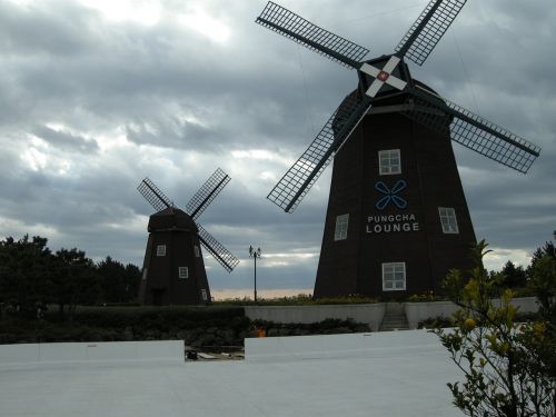 Vėjo Malūnas, Pinwheel, Nyderlandai