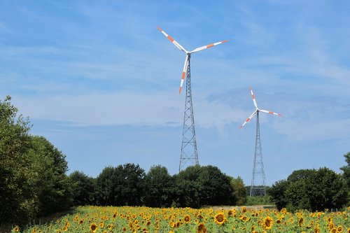 Windräder,  Energijos,  Alternatyvi Energija,  Saulėgrąžų,  Aplinkos Apsauga,  Klimato Kaita,  Dabartinis,  Atsinaujinanti Energija,  Saulėgrąžų Laukas,  Vėjo,  Šiaurės Vokietijoje