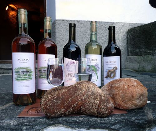 Vynas, Vyno Festivalis, Ticino, Medienos Krosnies Duona, Raudonas Vynas, Rožė, Baltas Vynas