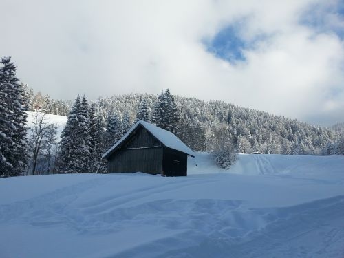 Žiema, Sniegas, Namai, Šveicarija, Snieguotas, Žiemą