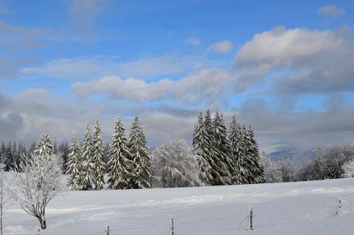 Žiema, Scena, Kalnas, Stebuklų Kraštas, Miškas, Šaltas, Lauke, Saulėlydis, Sniegas, Šventė, Ledas, Ledynas, Xmas, Slidinėjimas, Padengti, Eglė, Uolos, Fonas, Kelionė, Žygiai, Rūkas, Medis, Sniegas, Debesis, Kelionė, Saulėtekis, Rokas, Naujas, Kiauras, Auskaras, Eglė, Sezonas, Pasaka, Nuostabus, Mediena, Dangus, Šaltis, Gražus, Rime, Gamta, Atostogos, Europa, Kraštovaizdis, Metai