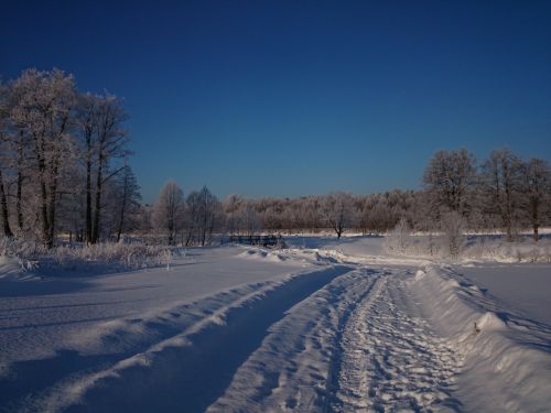 Žiema, Kraštovaizdis, Miškas, Tiltas