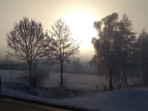 Žiema, Žiemą, Sniegas