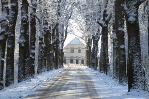 Žiema, Sniegas, Sniego Kraštovaizdis, Balta, Ūkis, Rhebruggen, Drenthe