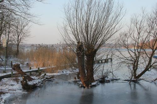 Žiema, Ledas, Medžiai, Havel
