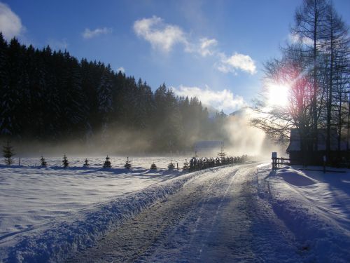 Žiema, Tatry, Lenkija, Chochołowska Slėnis, Kalnai, Žiemos Tatuiruotės Kalnai, Sniegas