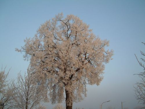 Žiema, Ledas, Vanduo